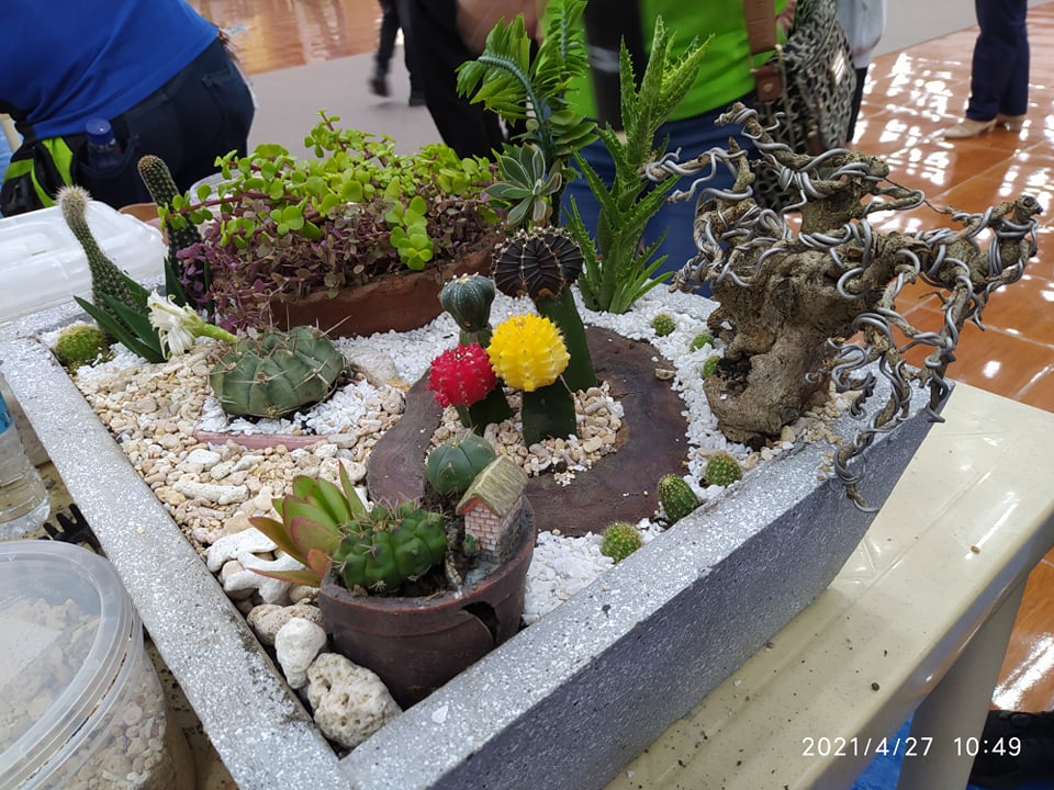Green Wellness 2021: Plantito And Plantita Day - See Pangasinan