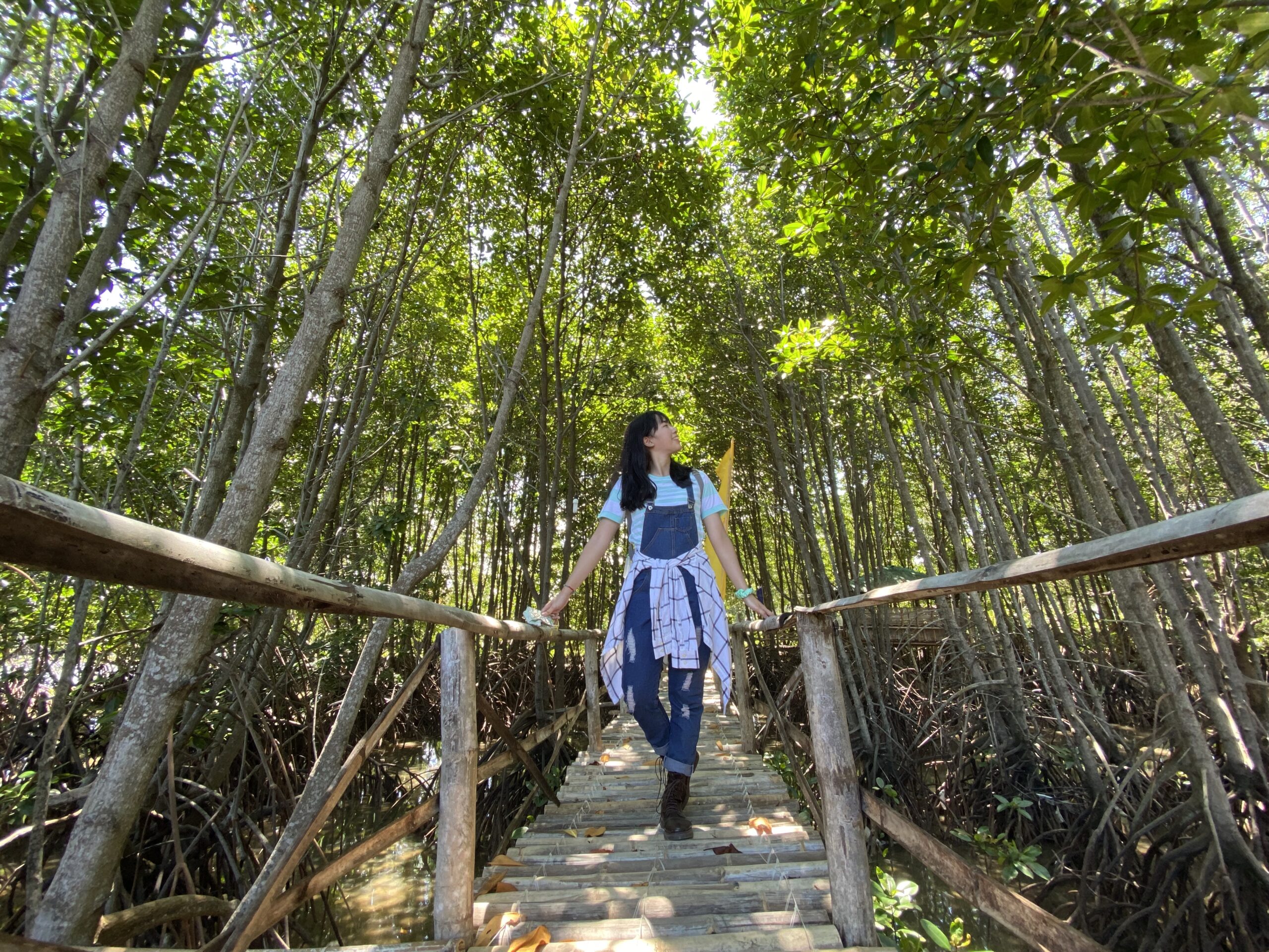 Provincial Mangrove Information Center and Nursery - See Pangasinan