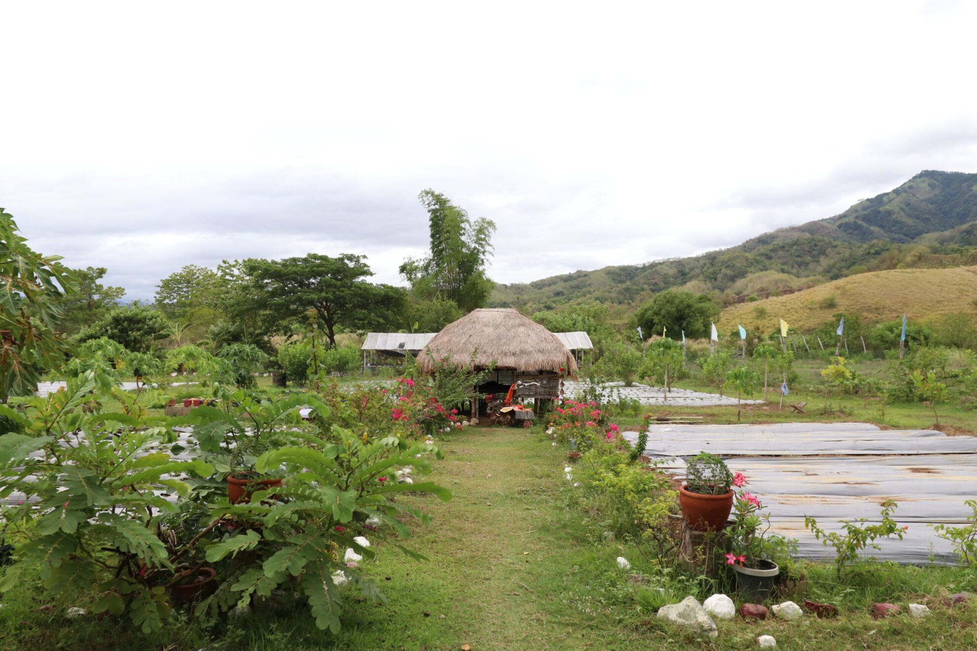 R.Rebs Integrated Eco Farm See Pangasinan