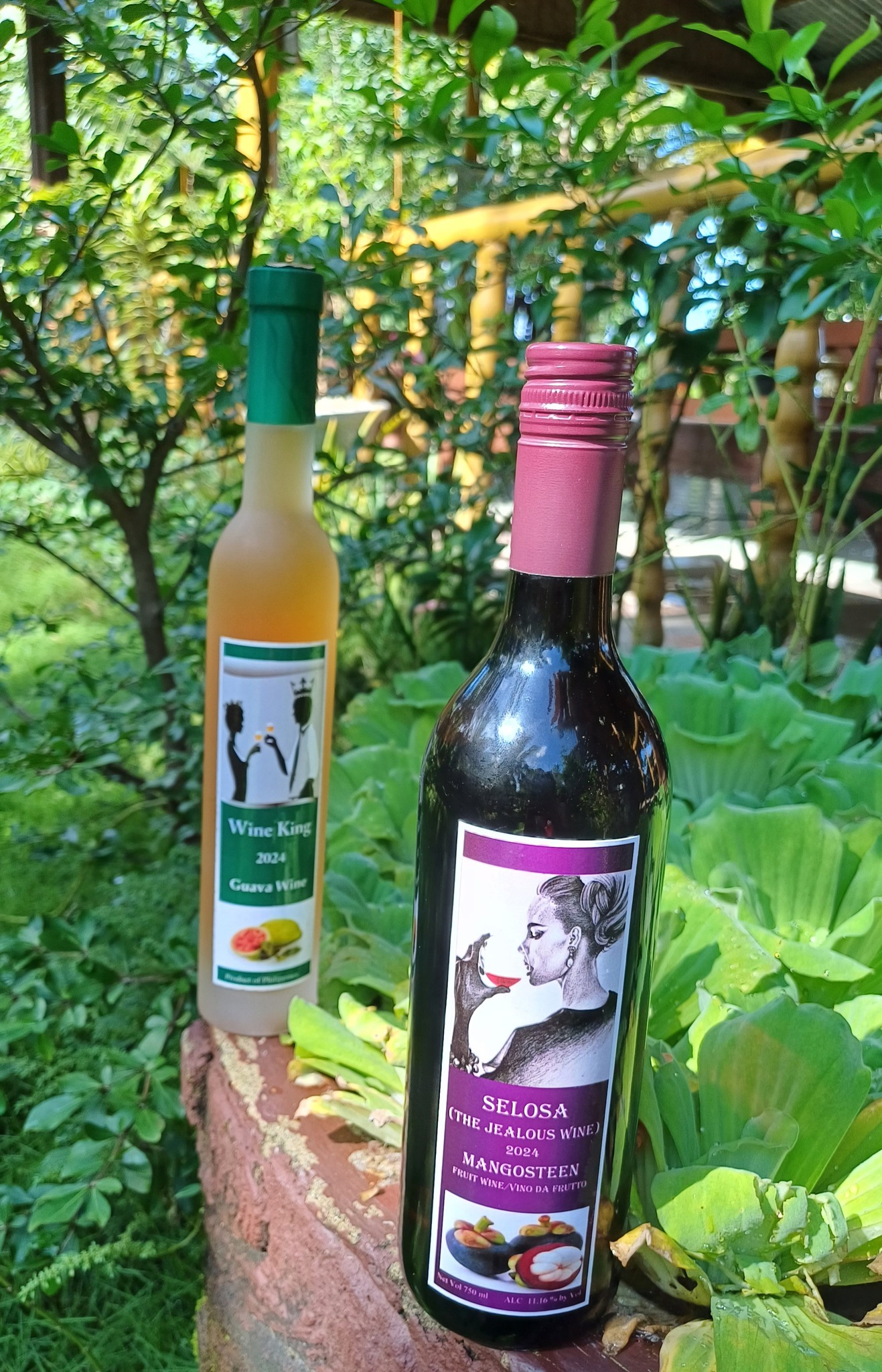 459536987_8400397556690957_8202456370282205819_n (1)